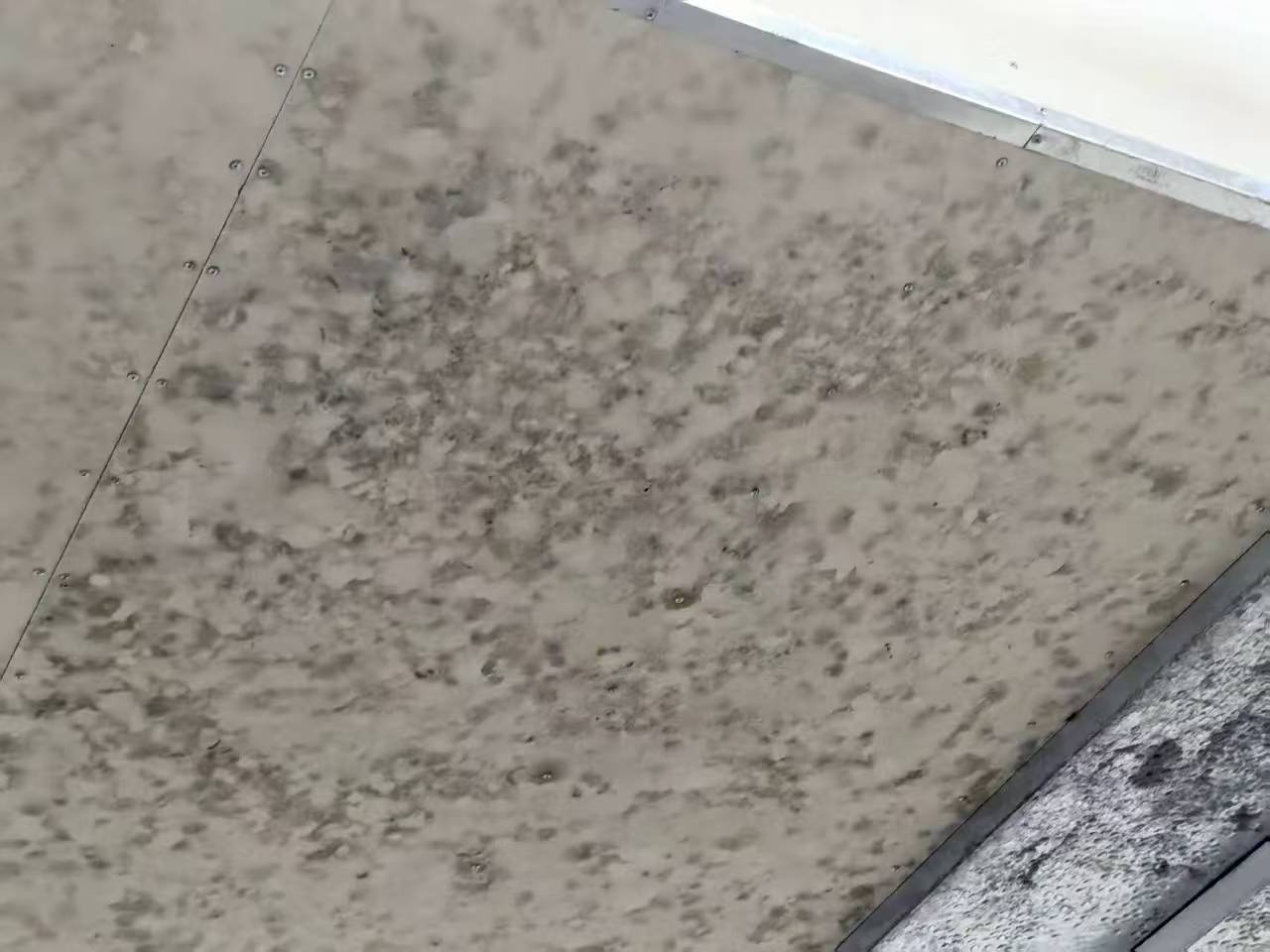 防火板发霉怎么办？这份解决方案请收好！